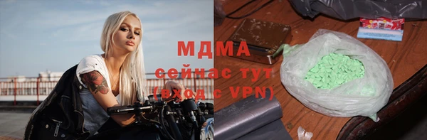 хмурый Абаза