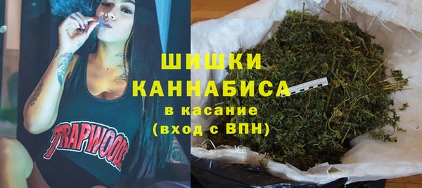 крисы Краснослободск