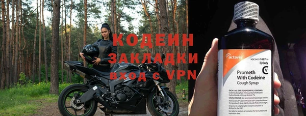 хмурый Абаза