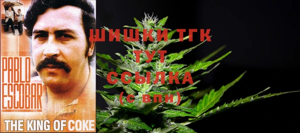 гидропоника Рославль