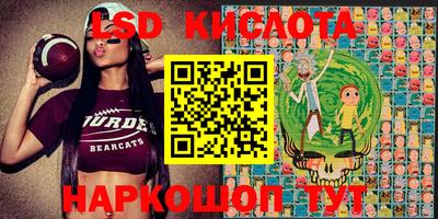 PSILOCYBIN Малгобек