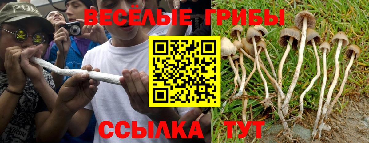Кандалакша  Галлюциногенные грибы GOLDEN TEACHER  Вход с VPN 